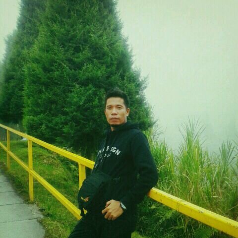 domiqz's profile picture. 