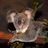 j_l_ray's profile image