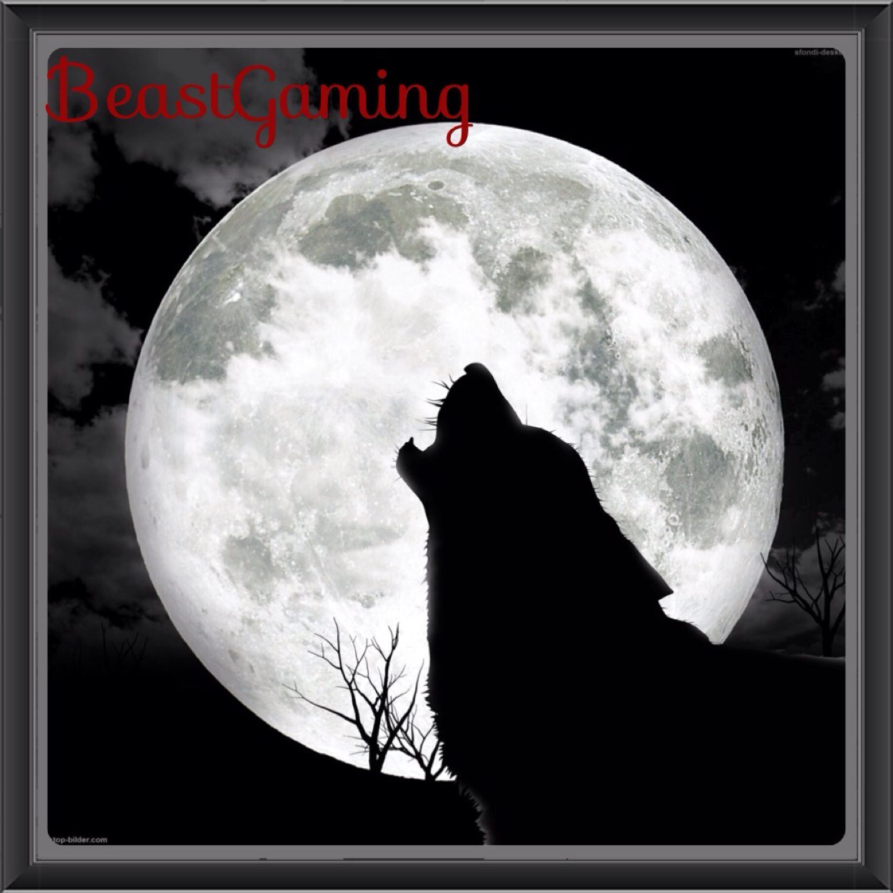 Youtube: BeastGaming