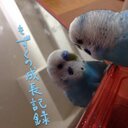 もずく (@0222_mozuku) Twitter