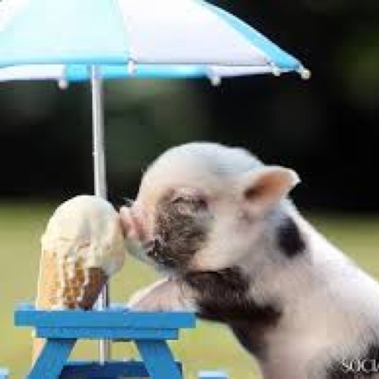 erinmorris_erin's profile picture. 