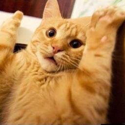 NaGoryachee's profile picture. 