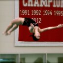 Hailey Cox - @hcox329 - Twitter