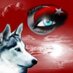 defne kurt (@asenadefne) Twitter profile photo defne kurt (@asenadefne) Twitter profile photo