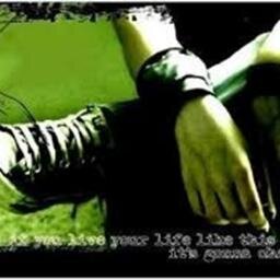 alifying's profile picture. 