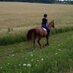 Hop Hill Stables (@hophillstables) Twitter profile photo