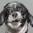 Jeff Busch - @JeffBBusch - Twitter