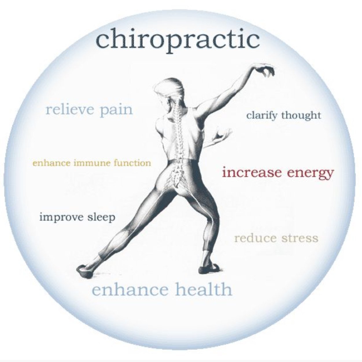 Dr. Pagano strives for excellence. Treating auto accidents, neck pain, back pain, sports injury, &general maintenance. Your health is your wealth! 239-597-4355