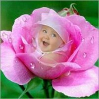 ammar alhakim (@ammaralhakim2) 's Twitter Profile