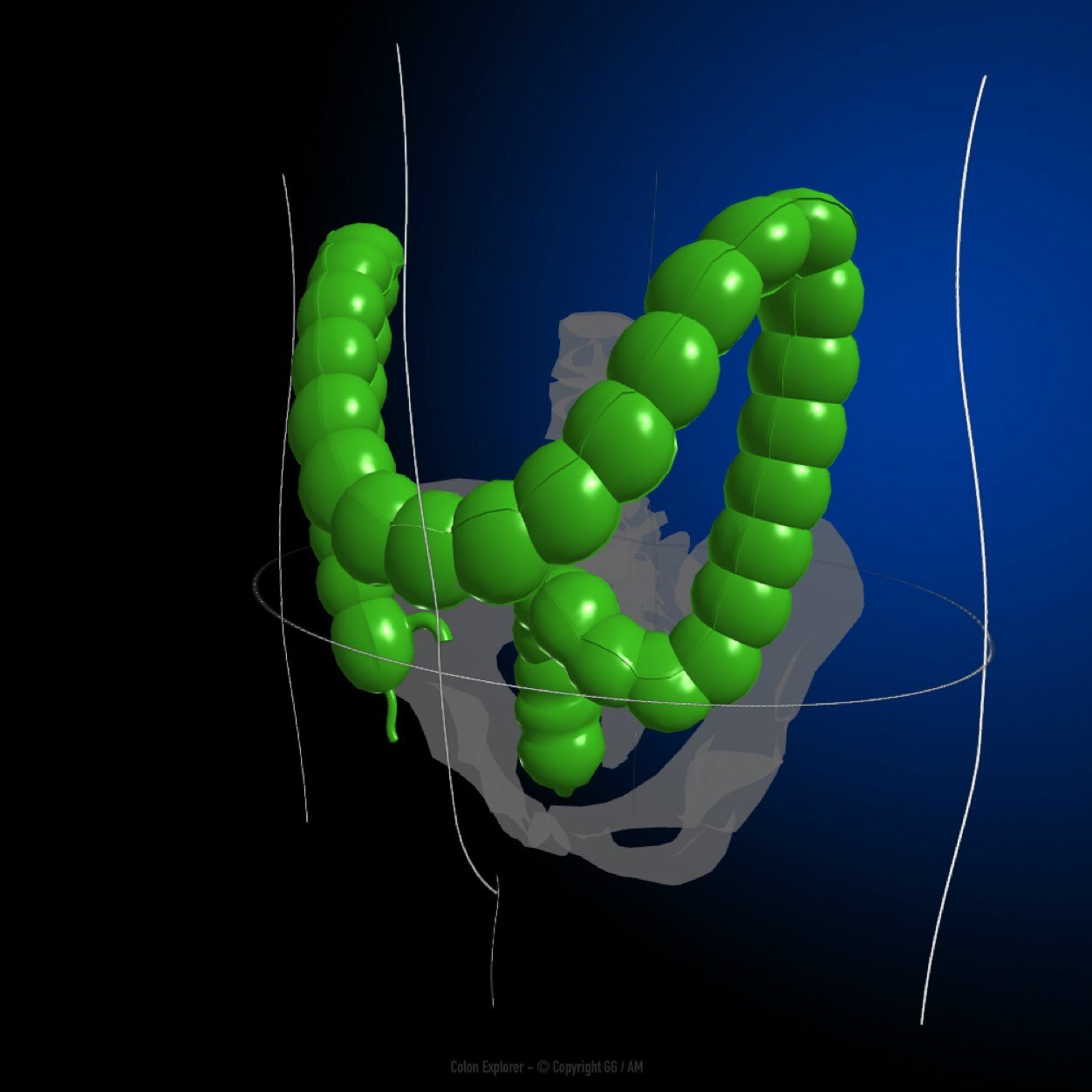 A new website dedicated to diagnostic and operative colonoscopy with images, videos and challenging clinical cases promoted by G. Gizzi, MD & L. Petruzziello MD