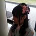 Maki Yamamoto (@makiyamamoto_e) Twitter profile photo Maki Yamamoto (@makiyamamoto_e) Twitter profile photo