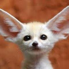 2BStandingAgain's profile picture. 