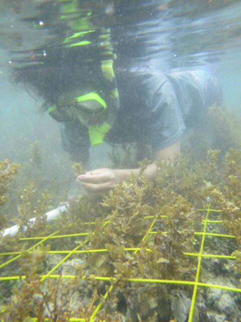 daun yang jatuh tidak pernah membenci angin