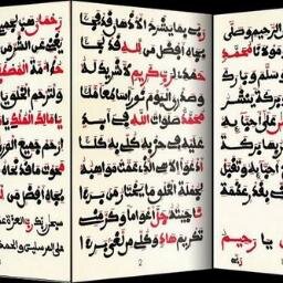 ebalebo's profile picture. 