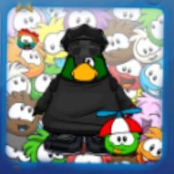 Hola pinguinos bienvenidos a mi twitter, me encanta el puffle amarillo aunque no tengo una pagina :( y sigueme en mi cuenta personal de twitter @crazy_for_demi.