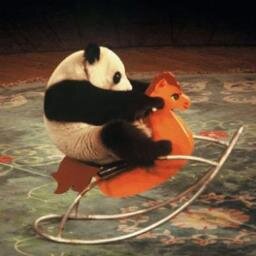 DLeitz1's profile picture. i brought the watermelon