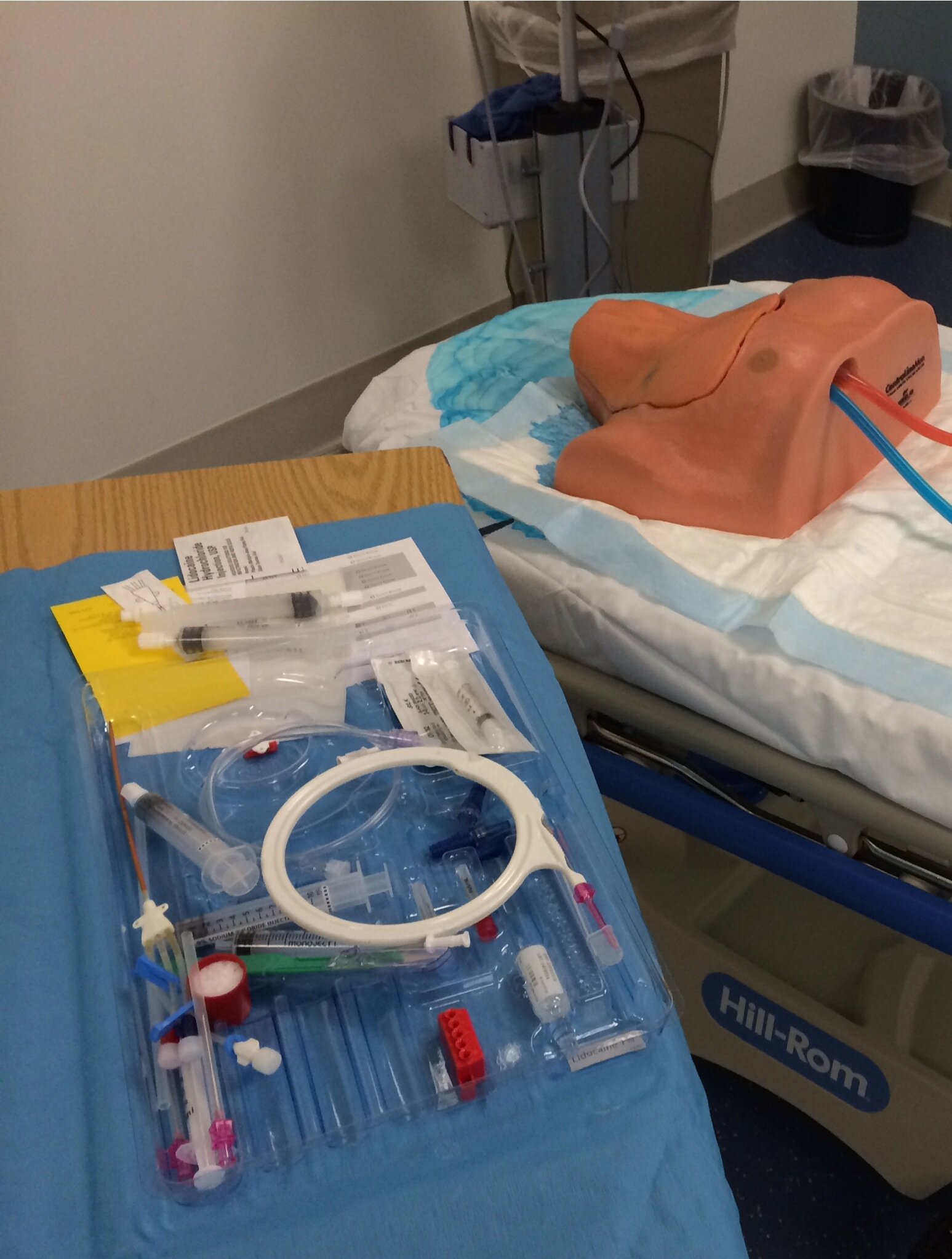 iCELS interprofessional Center for Experiential Learning and Simulation