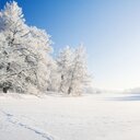 Rayan Sami Abbasi - @RayanSamiAbbas1 - Twitter