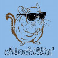 Giz (@gizmopcms) 's Twitter Profile