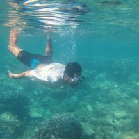 Saeful Bahri (@sayvul) 's Twitter Profile