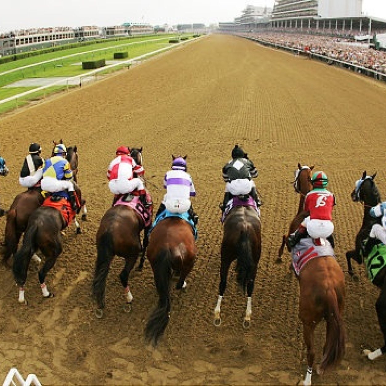 Offer an eductaional spin on an old product. Post selections with our top plays, and recommended plays. Great for newcomers and the seasoned horseplayer.