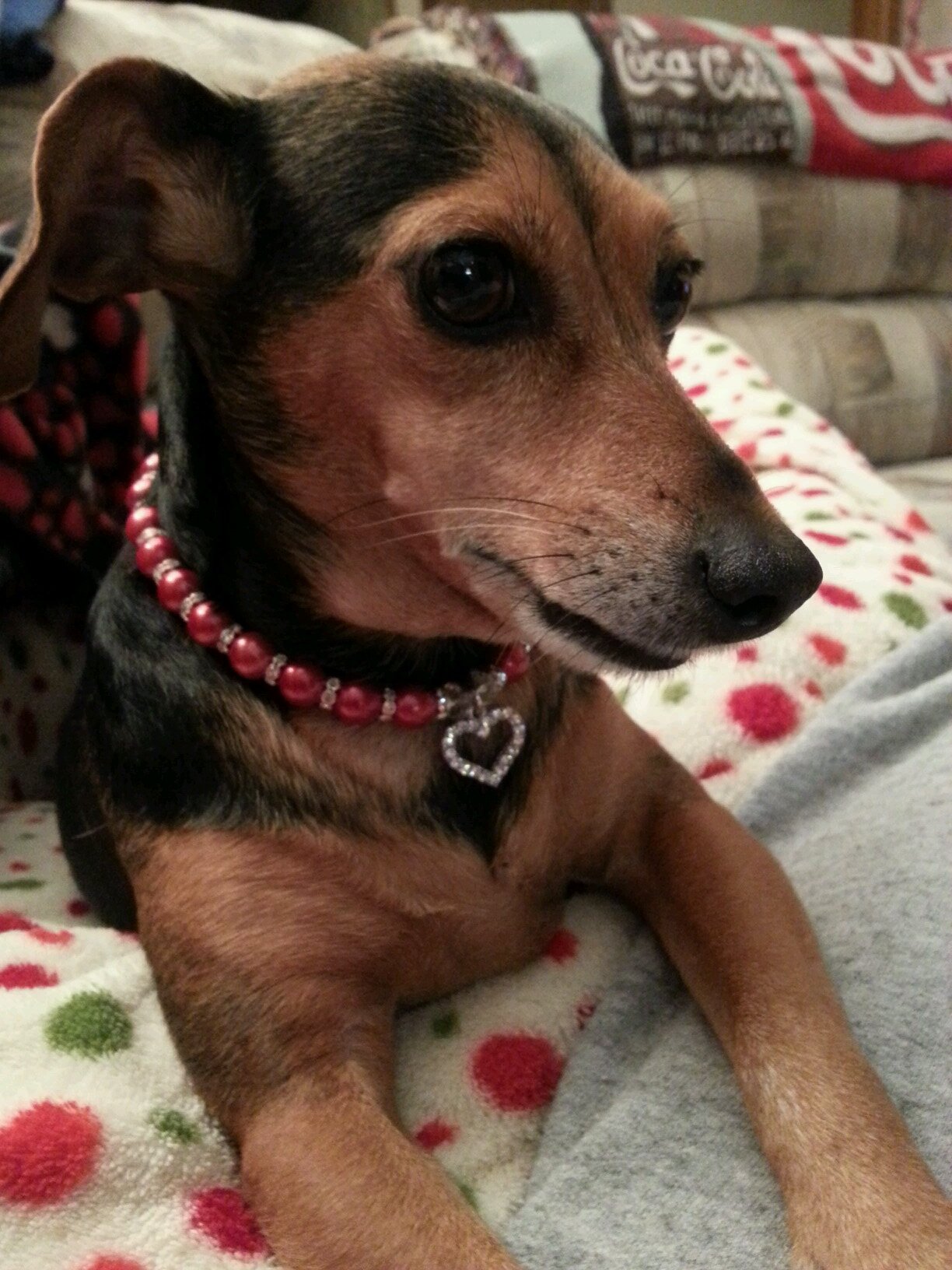 Rowatkins's profile picture. Pastoral admin asst @ fbcba, fan of movie watching, time with family & friends, love my job