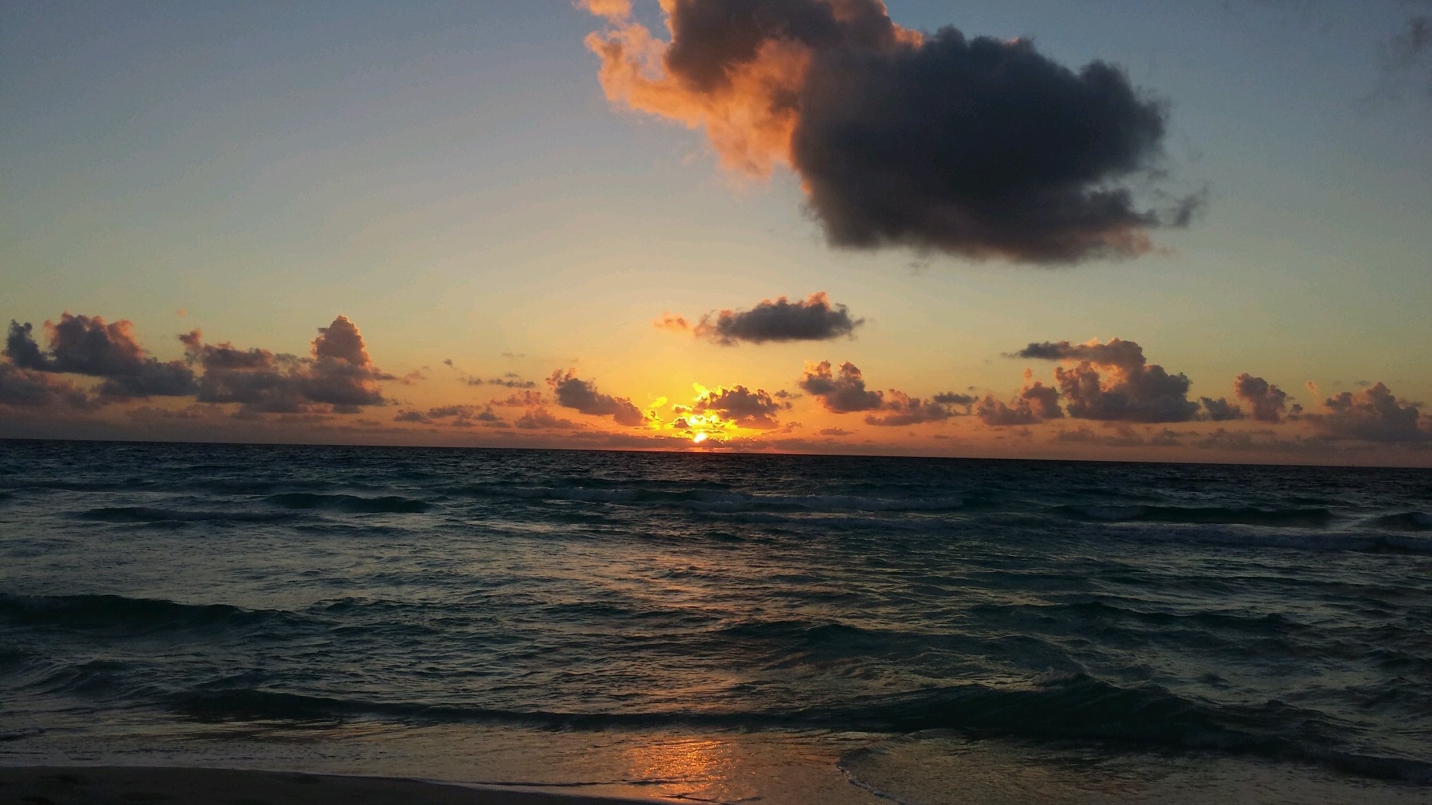 BriMyerskc's profile picture. 