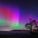 Nancy Watson - @NancyWatson6 - Twitter