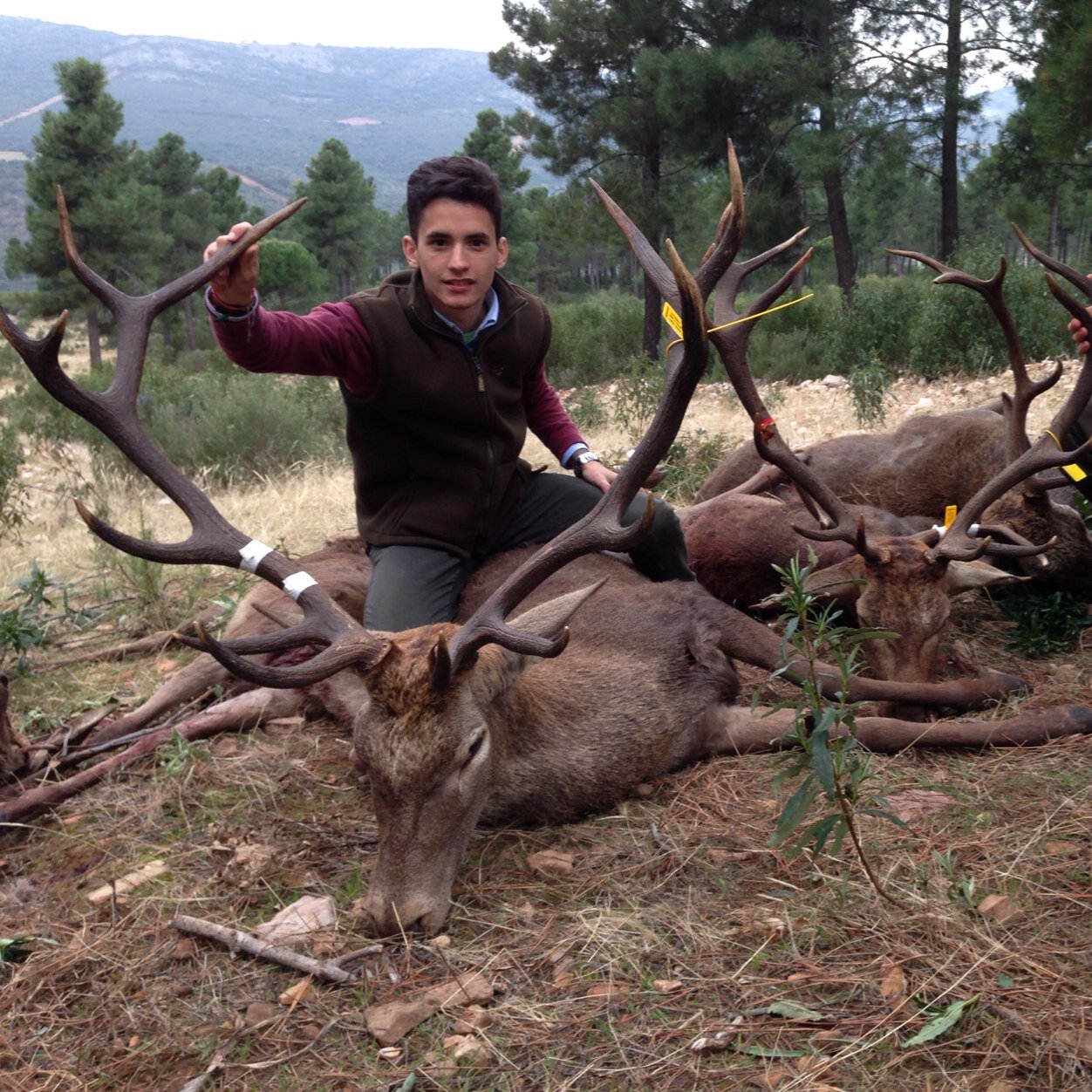 Deportista,amante de la caza,la pesca, los toros y los caballos,amigo de mis amigos y con las ideas muy claras!!