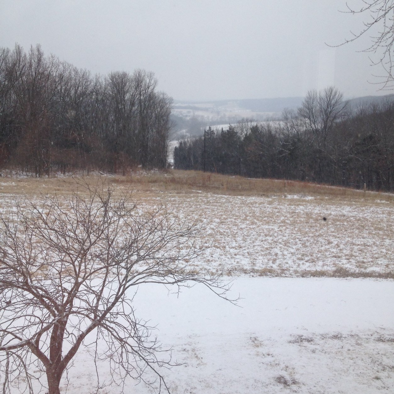 Pennock4's profile picture. 