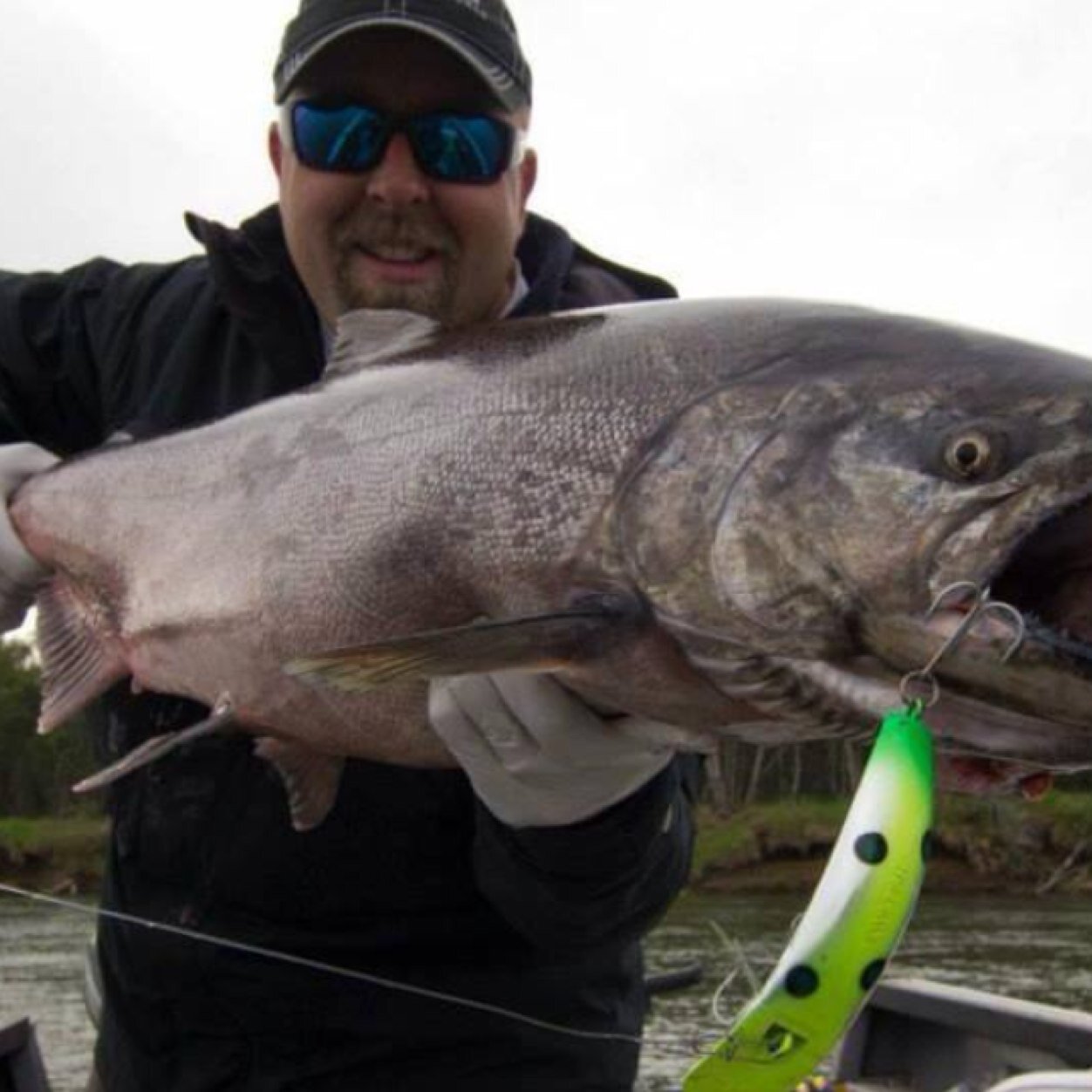 The best king salmon fishing in Alaska. More king salmon return to the Nushagak river than any other river in Alaska! Luxurious & comfortable accommodations.