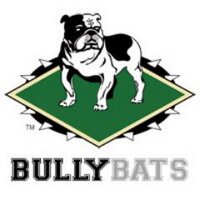 BullyBats (@bullybats) 's Twitter Profile