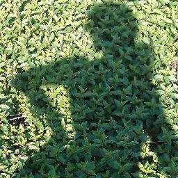 Consultant, analyst, food preserver, urban gardener, traveler, couchsurfer, life-long learner.  This is my personal twitter feed.