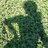 KatieHoward822's profile image