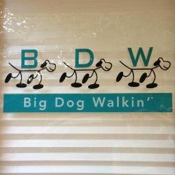 Dog walking, playgroups, and daycare--Where every dog is a big dog!
