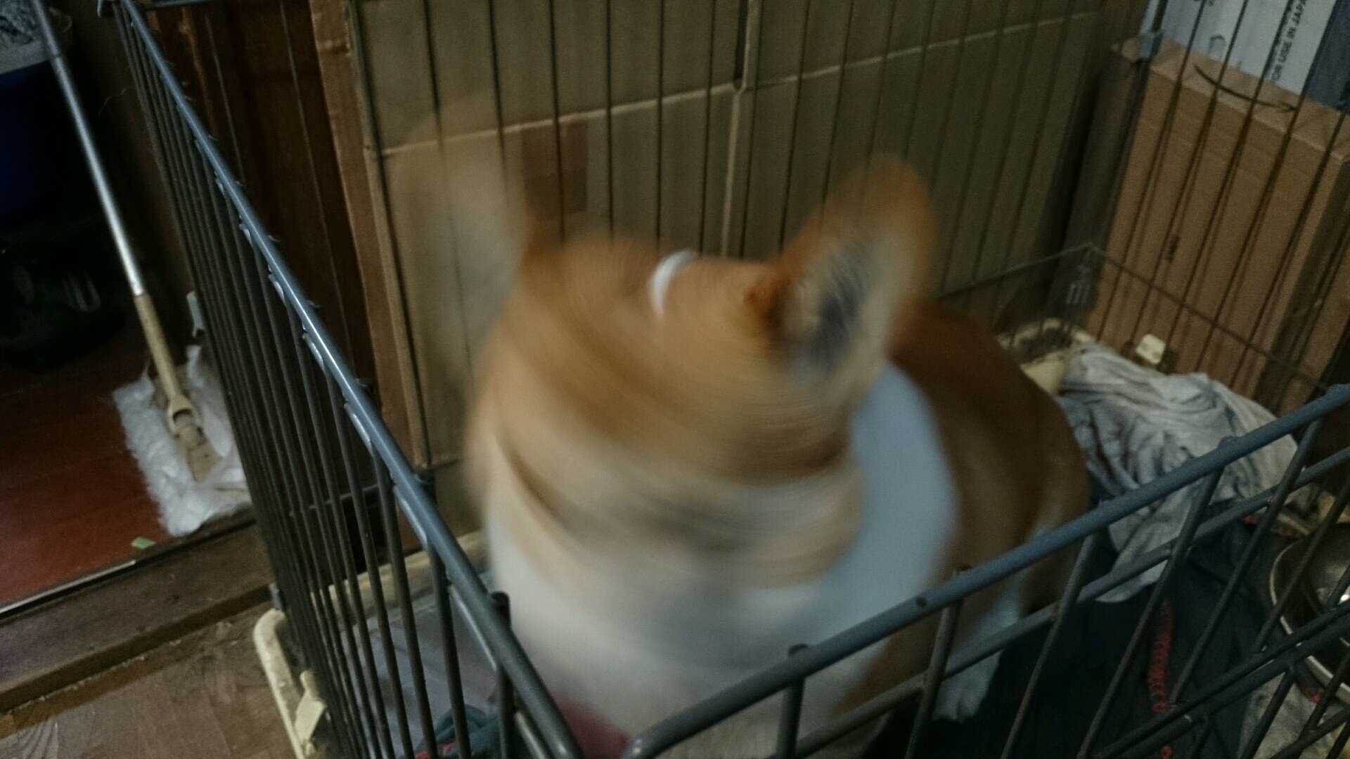 mth2469's profile picture. 