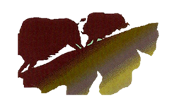 LLELAfriends's profile picture. NPO set up to assist research, preservation, restoration, & edu. activities at LLELA, a 2000 ac. nature  preserve in Lewisville, TX. We are a force of nature!