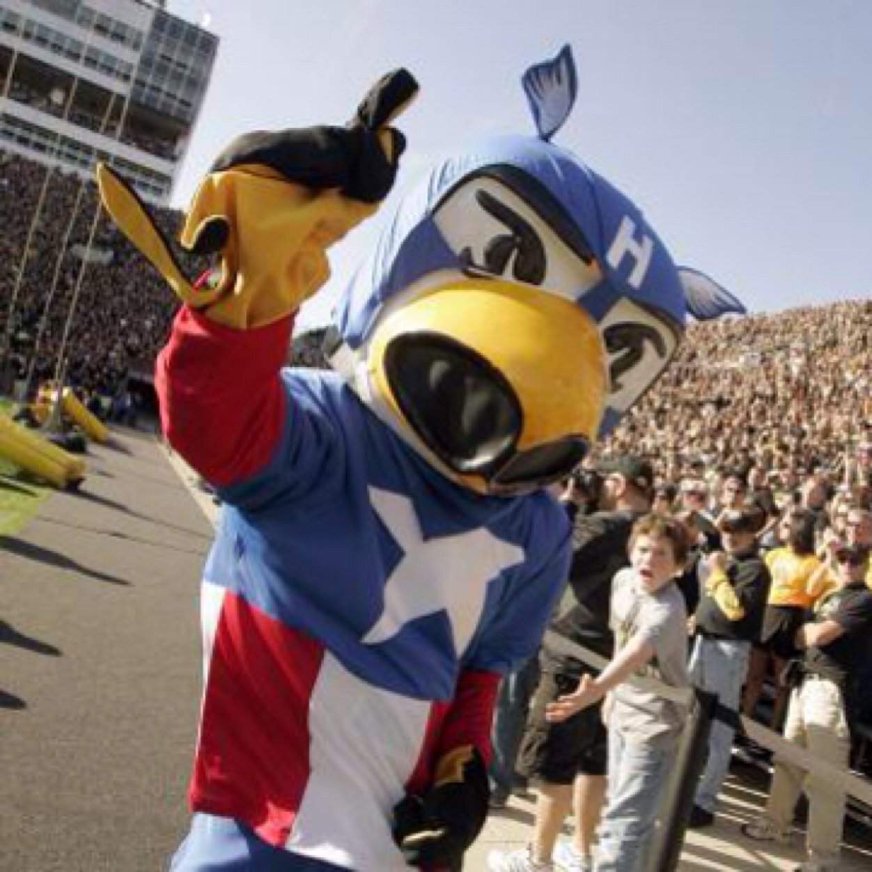 Drink. Nap. Turn Up. Go Hawks.