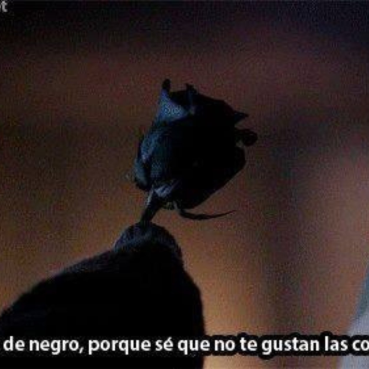 El infierno es la vida que me trago Dios, ¿el mejor dia de mi vida?mi funeral.¿No no estoy loca solo vivo la realidad? Autolesiones