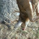 Dan Stern - @Deerhunter0169 - Twitter