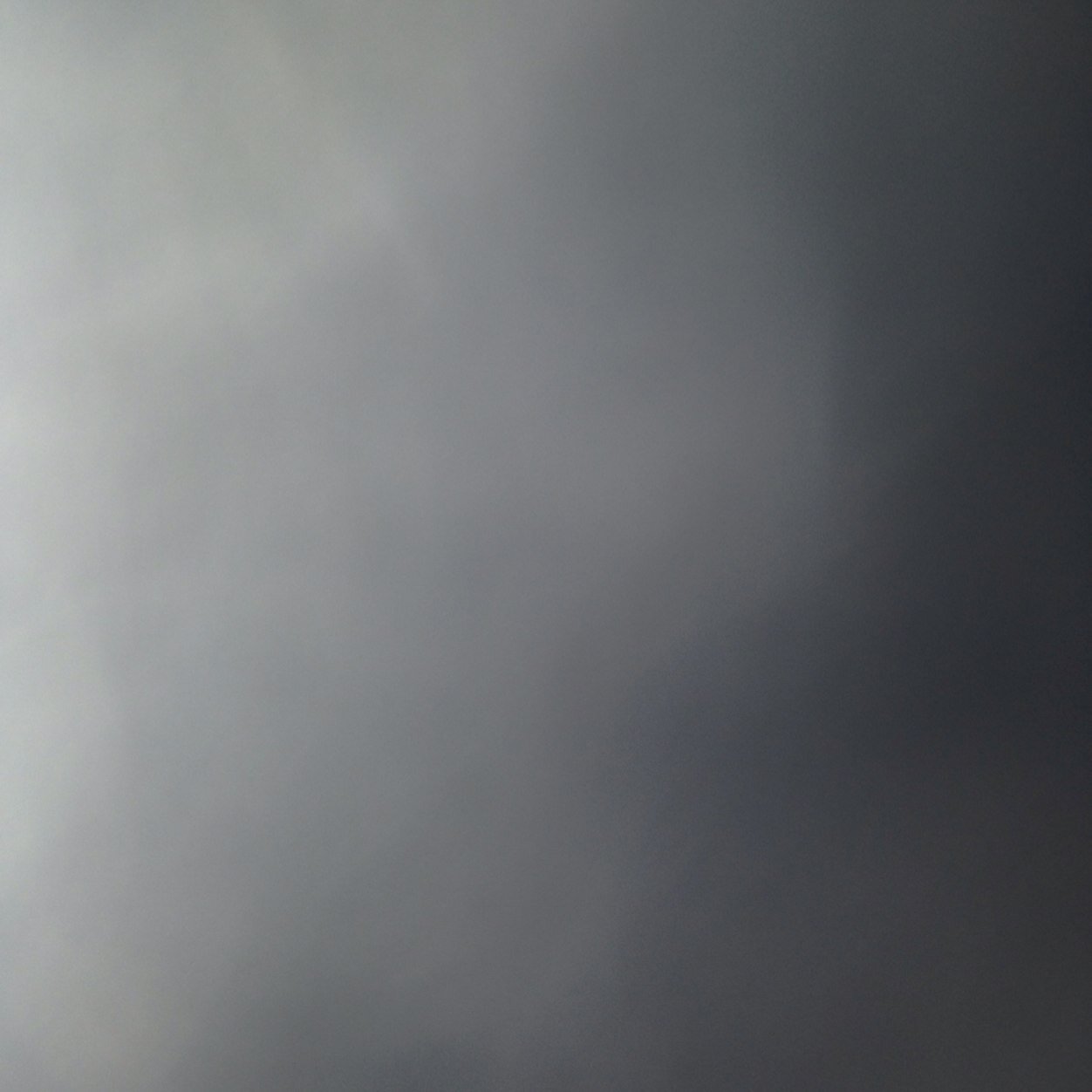 villawesterhout's profile picture. One of most wonderful