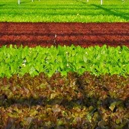 VerticalFarmSIT's profile picture. Rooftop Farm Unit. Senior Design Project.