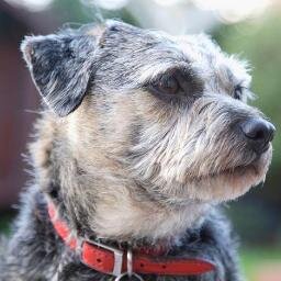 A.K.A, ze Zen Dog. #BTposse member. Leo
♌