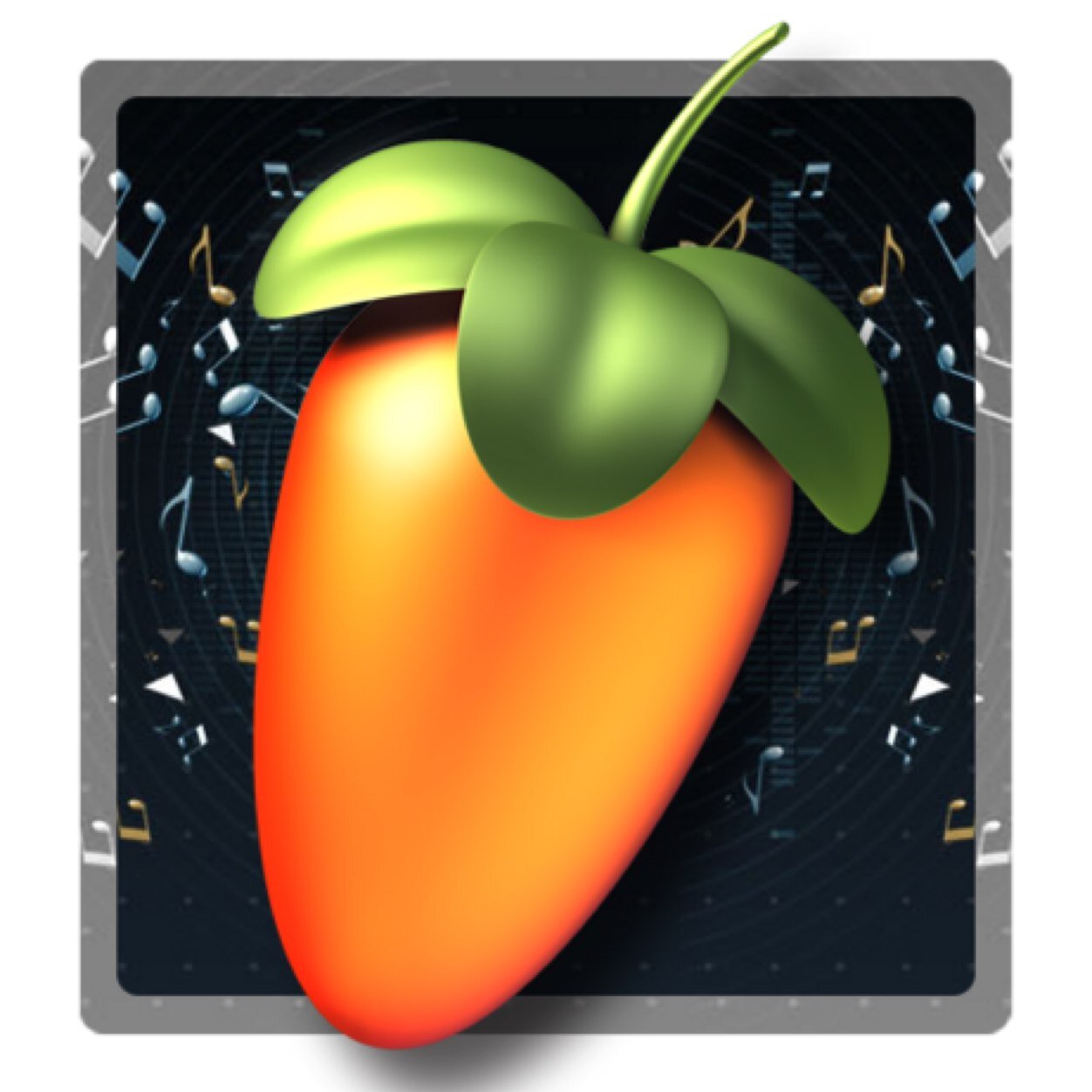 FLTIPS's profile picture. 