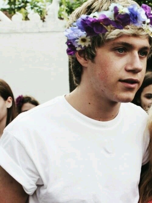 niall | single | gay | cuddle me