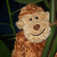 Sophie (@monkey_soph) 's Twitter Profile