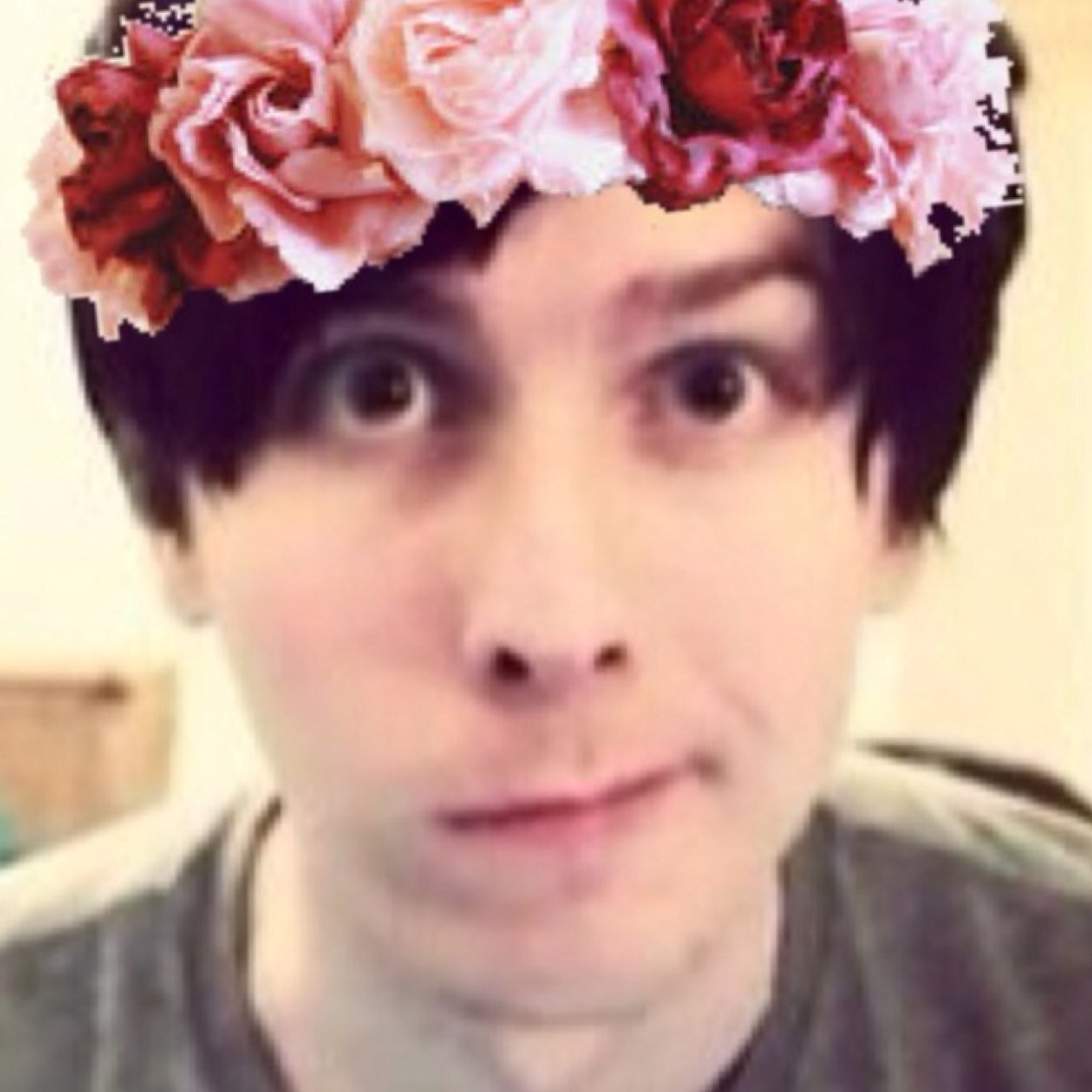 -Teenage girl from Britain-Dan and Phil are my heroes-Panic! At the Disco and Fall Out Boy-