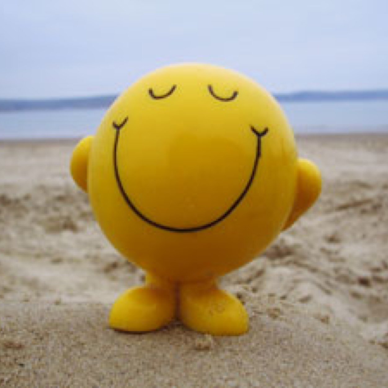 EileenMcGuigan1's profile picture. 