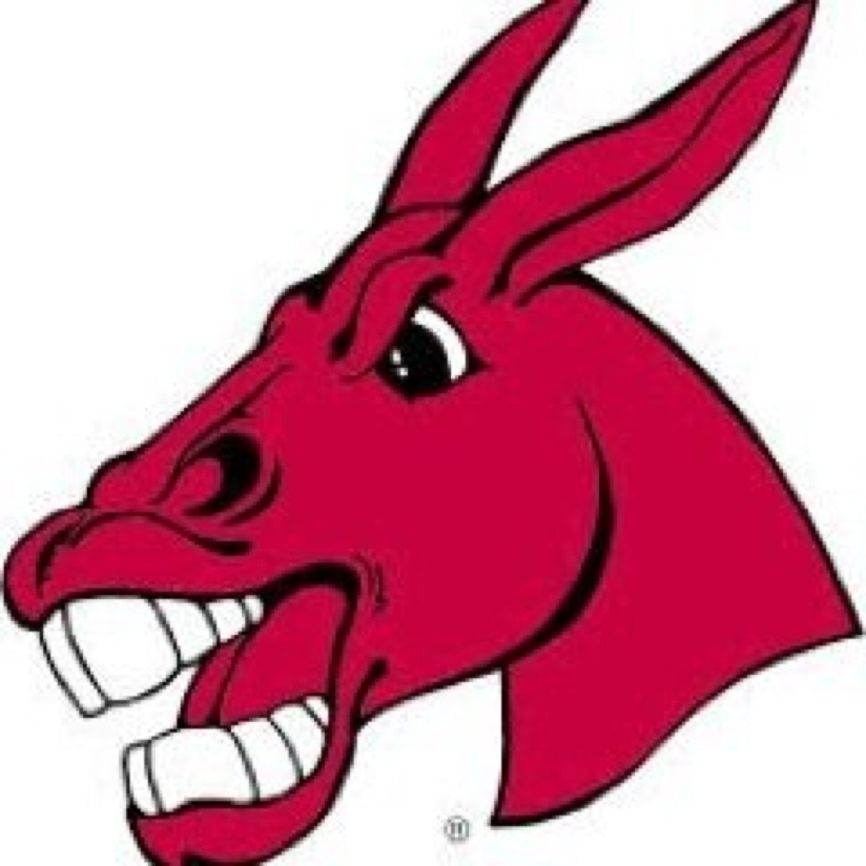 Official Twitter of the University of Central Missouri Roller Hockey Team  |  Proud Members of the GPCIHL and NCRHA