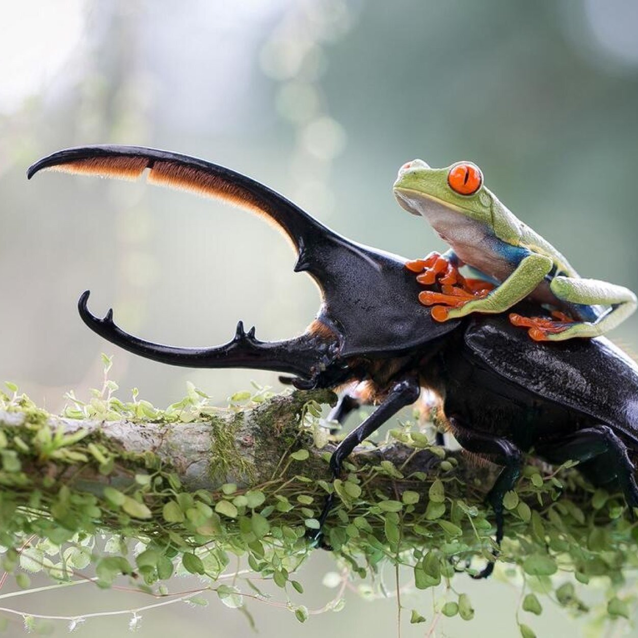 MiguelGilVela's profile picture. 